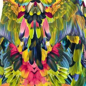 Blueman Feather Print Dress